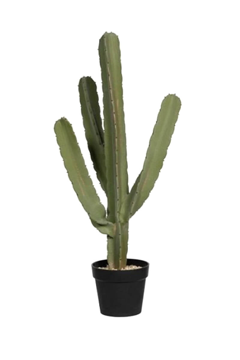 Kunstpflanze - Cactus Cereus M - Pottery Pots