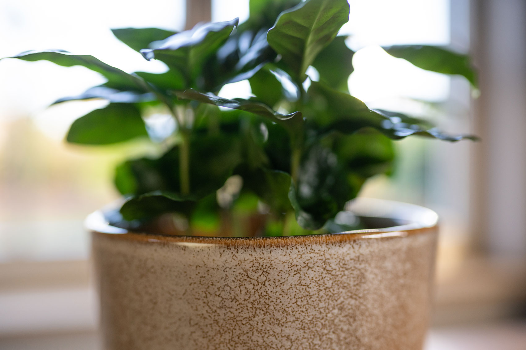 Hedy - Ø13xH13cm - Sand