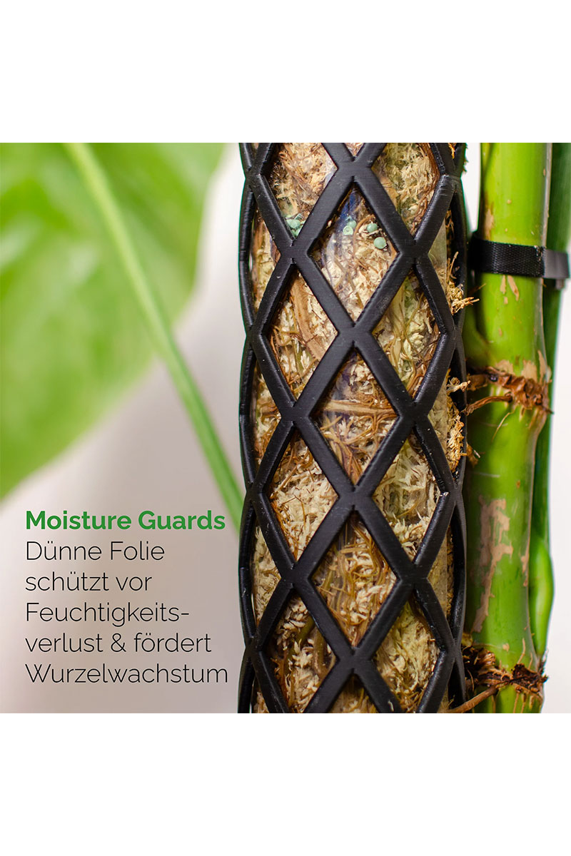 PlantMe Moosstab Midi Set - Schwarz