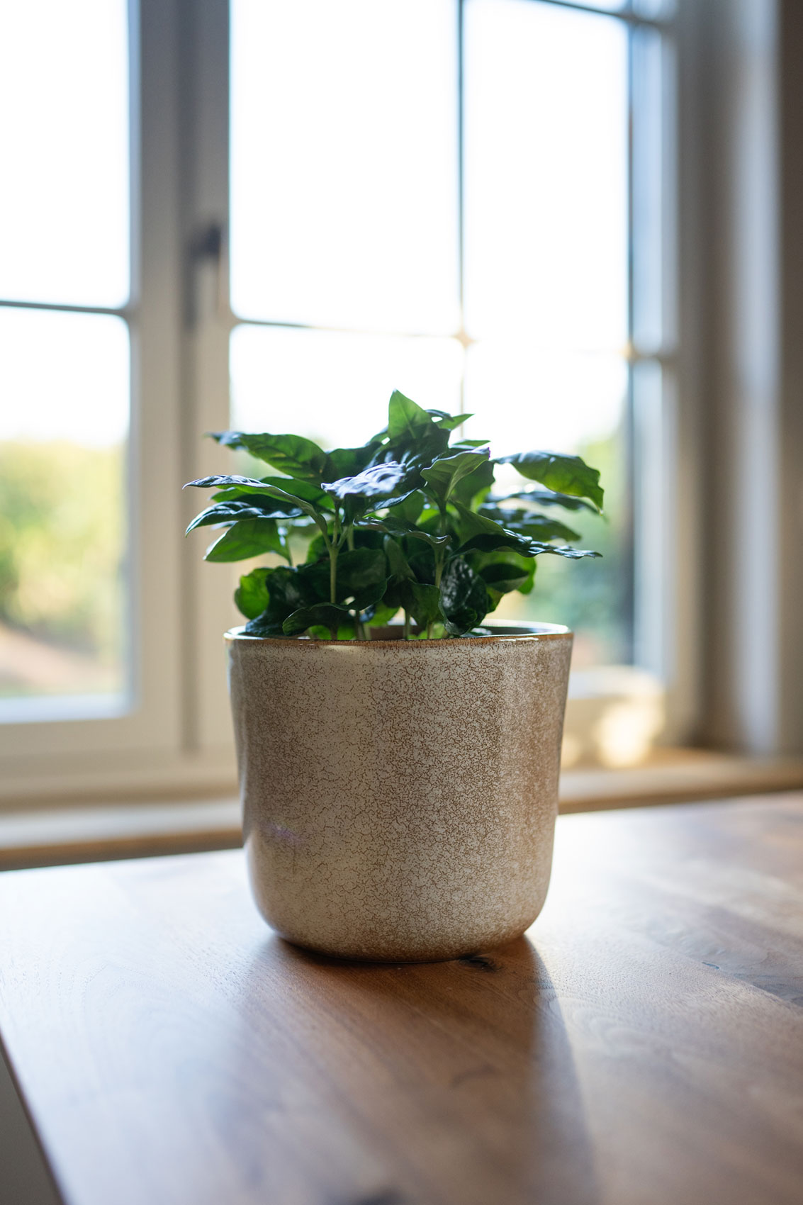 Hedy - Ø18xH17cm - Sand