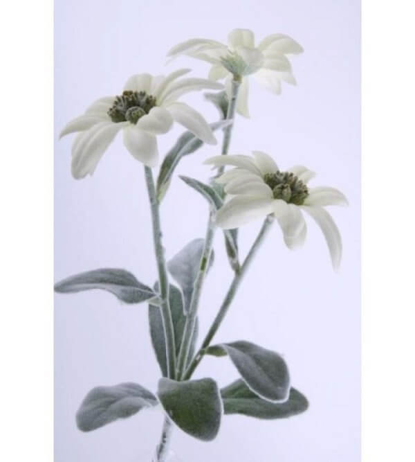 Kunstblume - Edelweiss 3 Blüten - 24cm