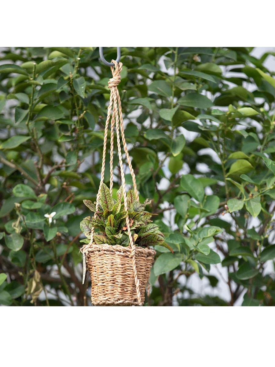 Seegras Hänger - Ø15xH15cm - Natur 