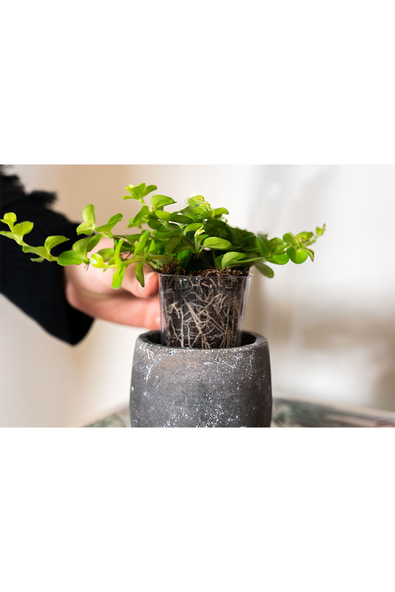 Mini Weicheinsatz - Ø10xH7cm