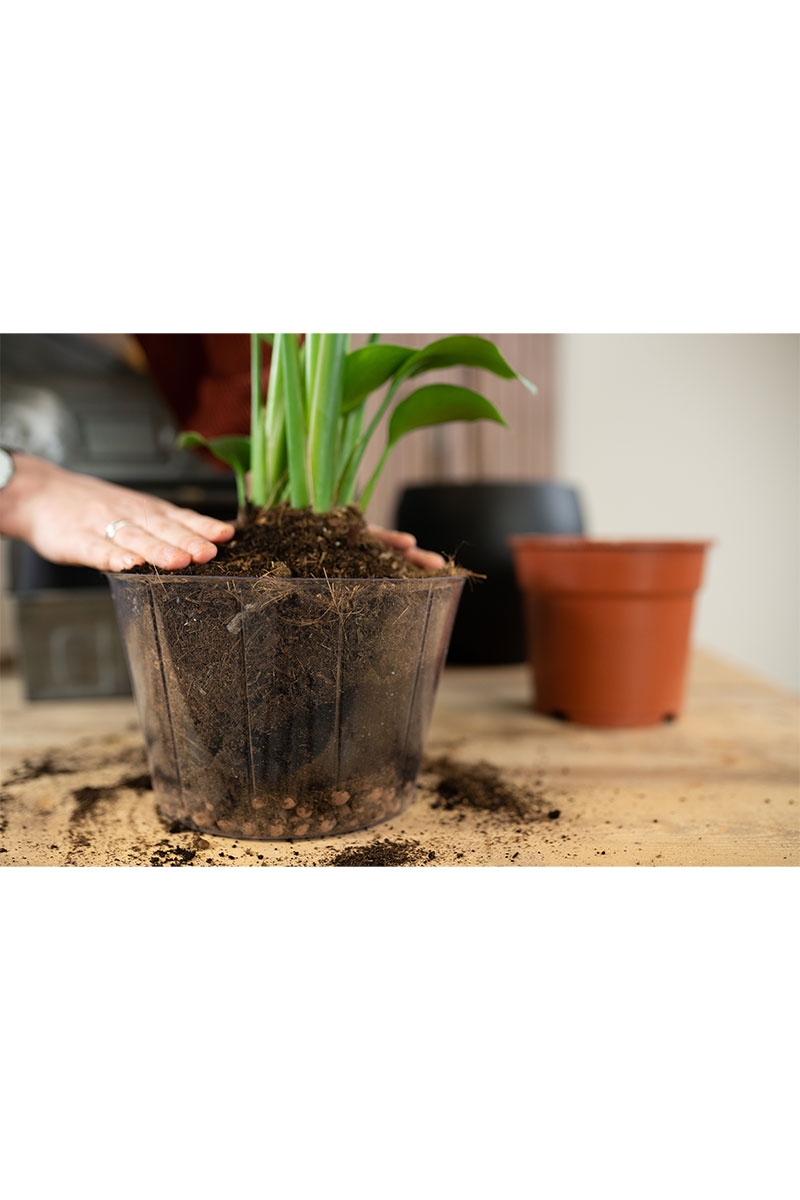 Mini Weicheinsatz - Ø10xH7cm