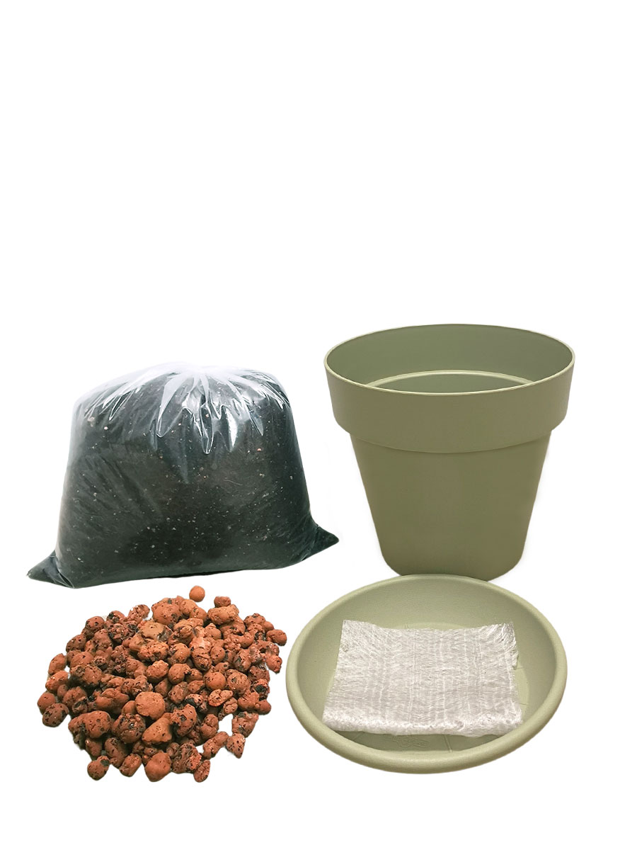 Pflanzkit 18 - Grün