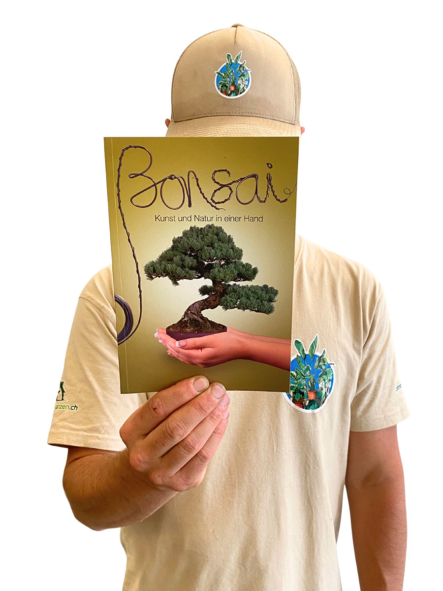 Bonsai - Kunst und Natur in einer Hand