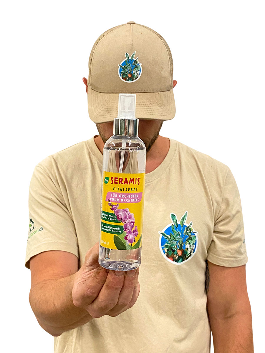 Orchideen Vital Spray - 250ml
