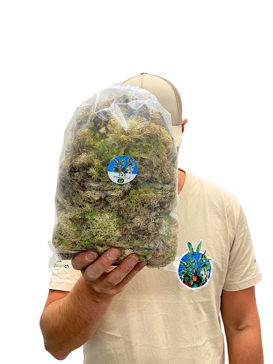 Sphagnum Moos 500g - Frisch