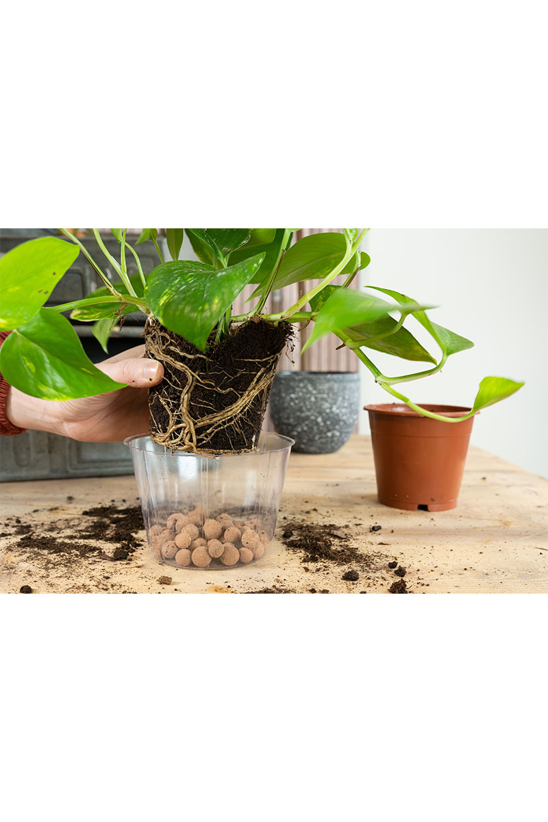 Mini Weicheinsatz - Ø10xH7cm