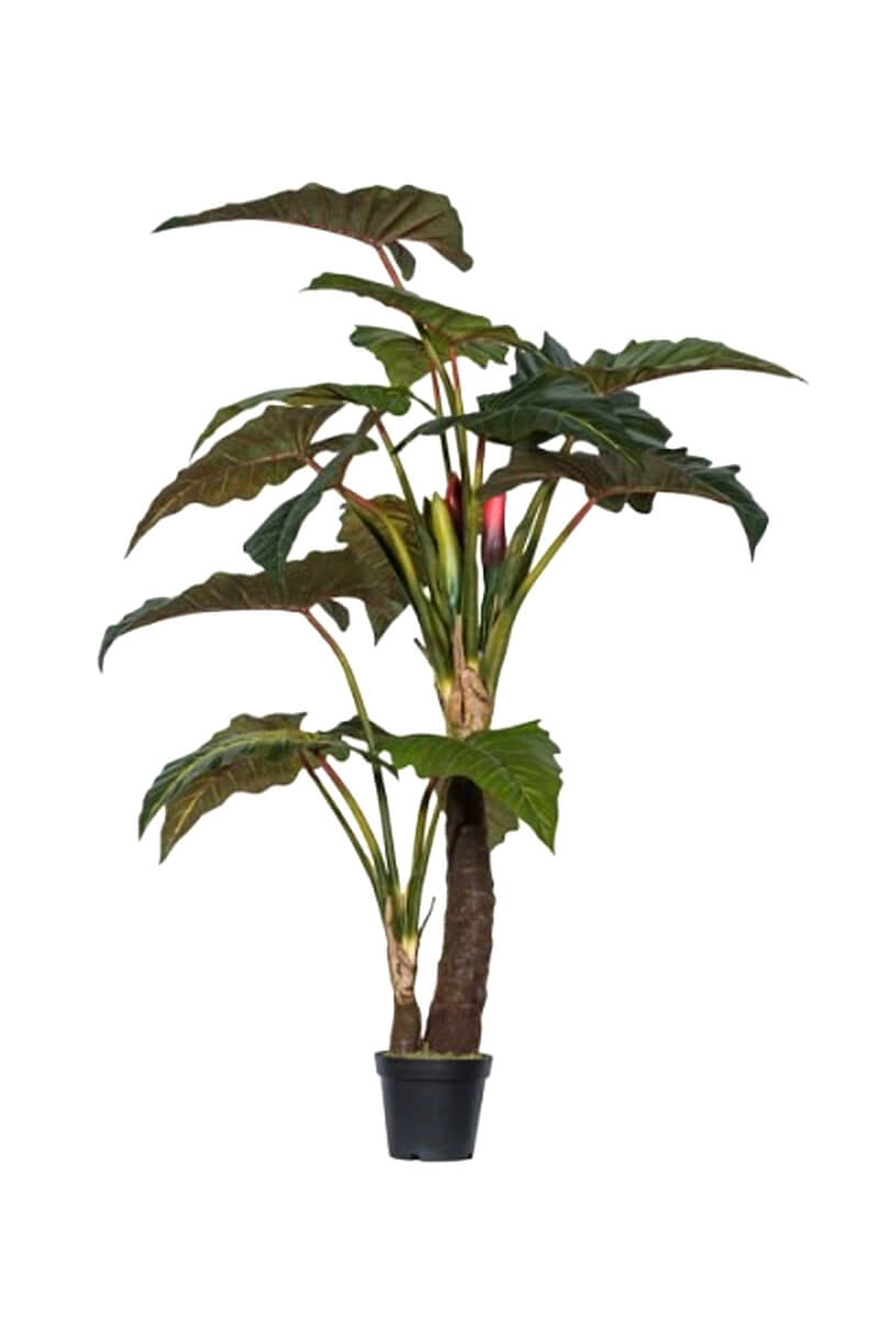 Grosse Kunstpflanze - Alocasia Tree L - Pottery Pots