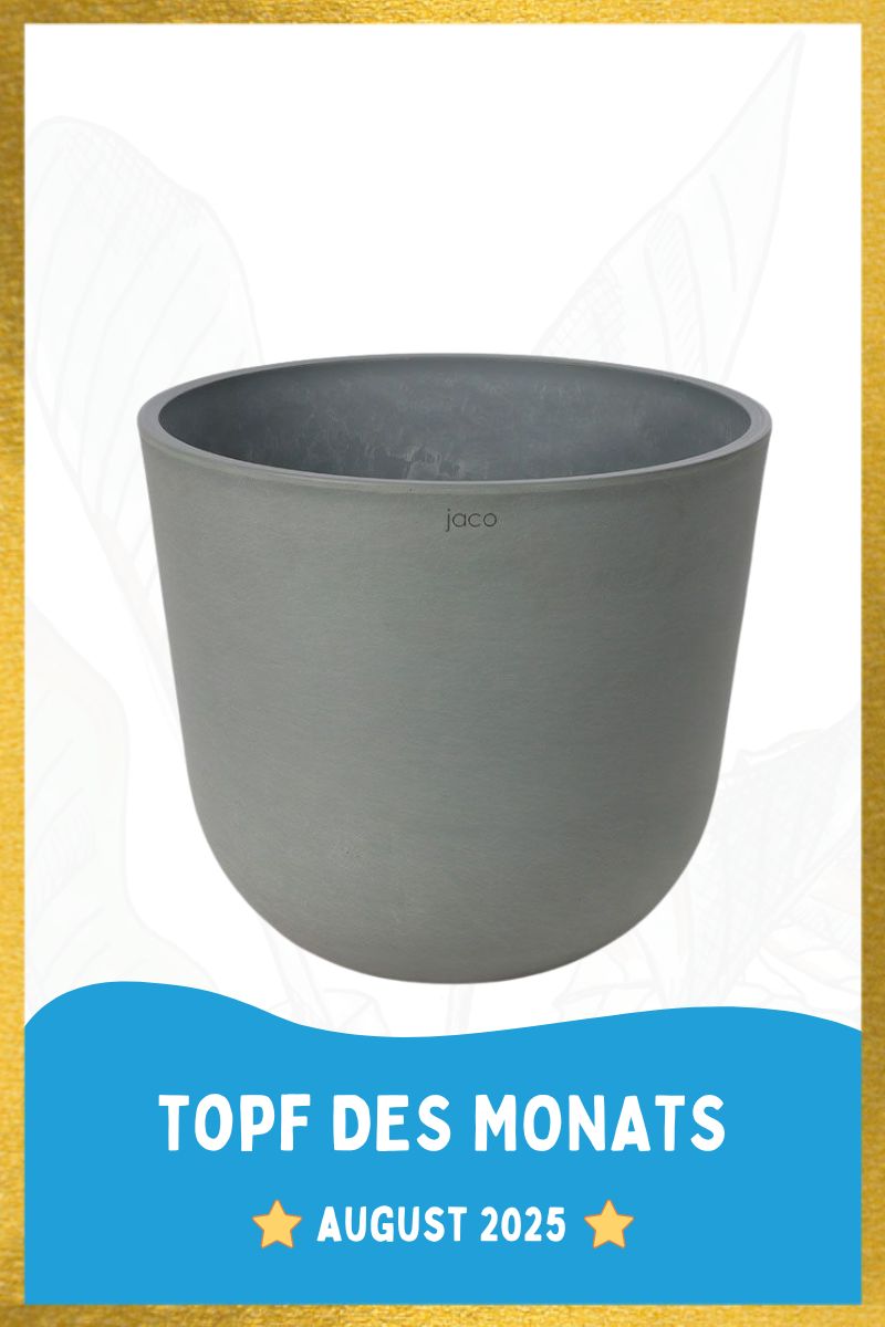 Braga - Ø35xH30.5cm - Grau