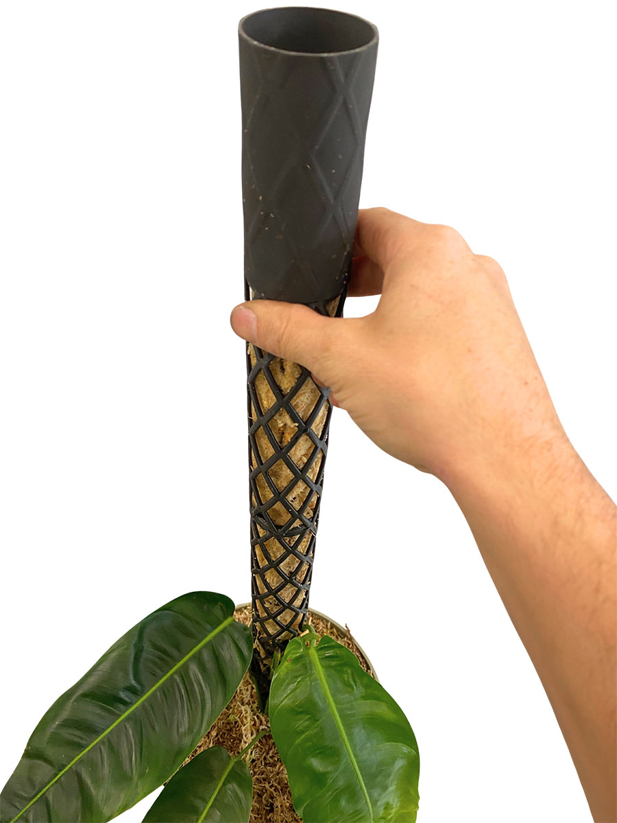 PlantMe Moosstab Midi Set - Schwarz