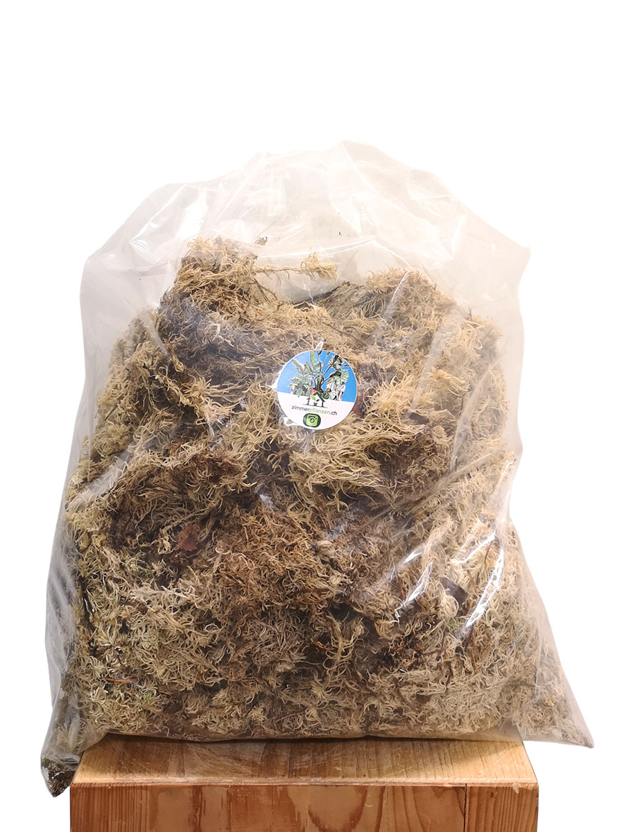 Sphagnum Moos 1000g