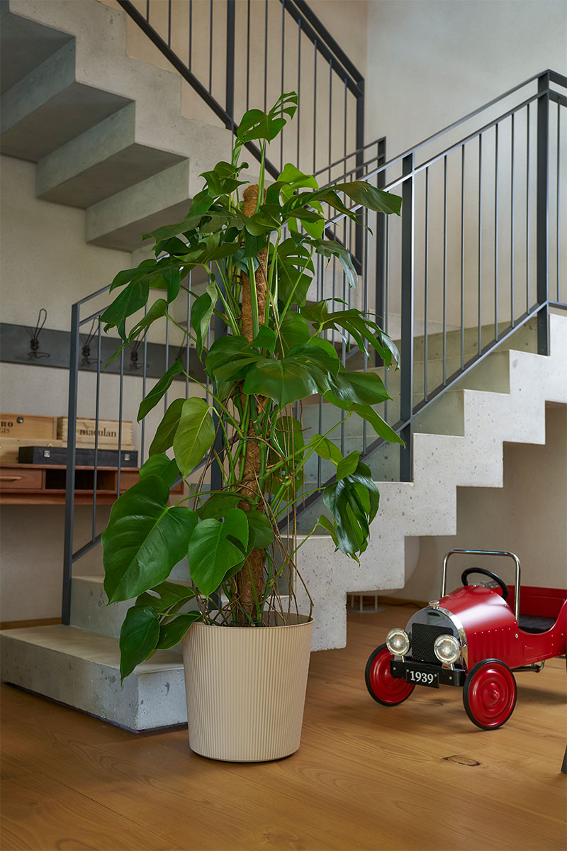 Fyre Dune - Ø40xH39cm - Sand