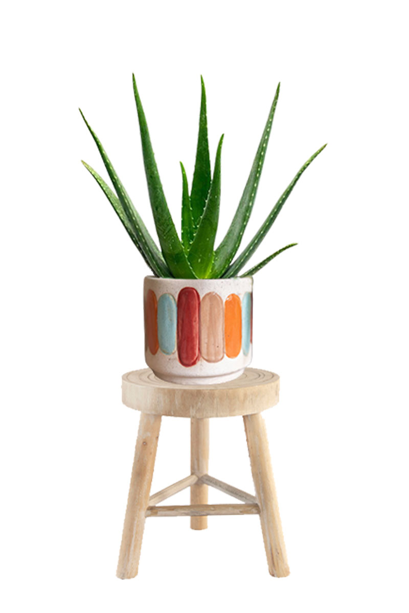 Pflanzenhocker Ortega - Ø29xH35cm