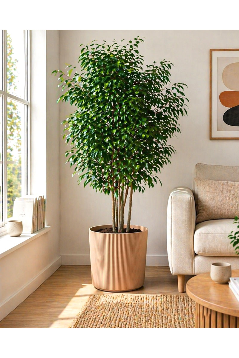 Fyre Dune - Ø25xH23cm - Sand