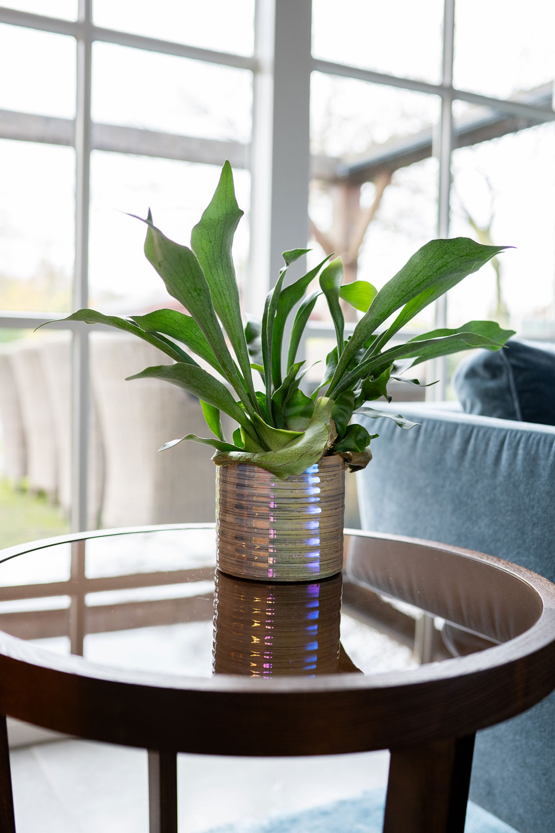 Didi - Ø14xH13cm - Pearl Blue