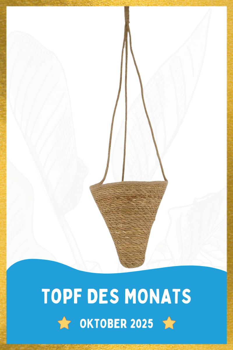 Seegras Hänger - Ø22xH24cm - Natur Seegras Hänger - Ø22xH24cm - Natur