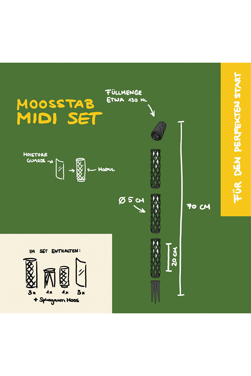 PlantMe Moosstab Midi Set - Schwarz