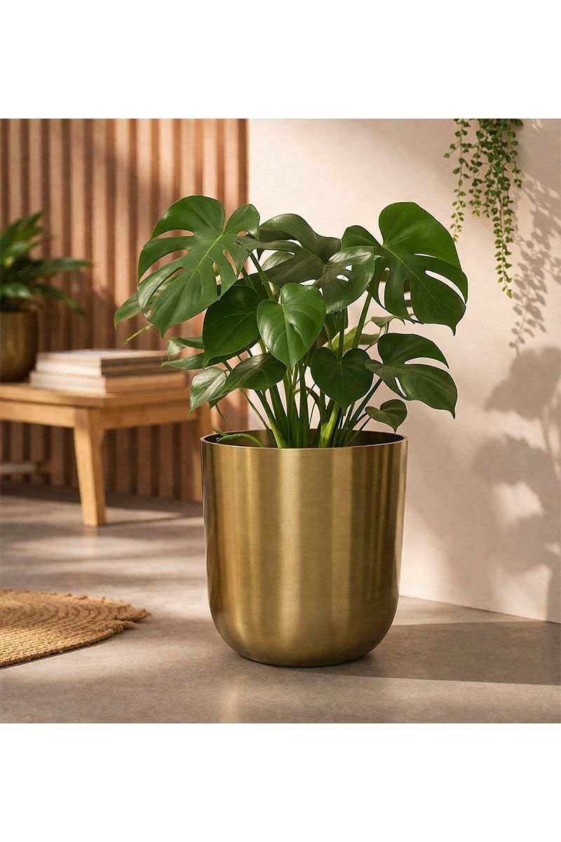 Mayk - Ø25xH26cm - Gold