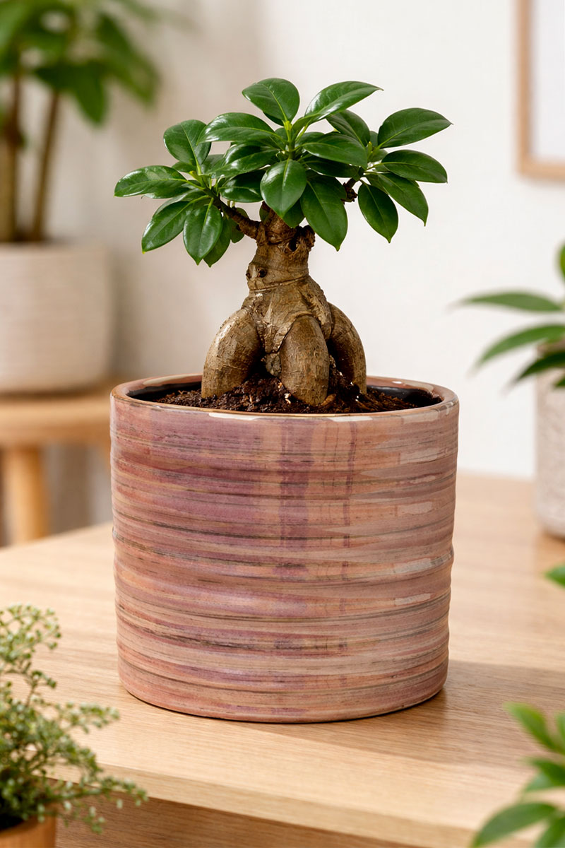 Didi - Ø14xH13cm - Pearl Pink