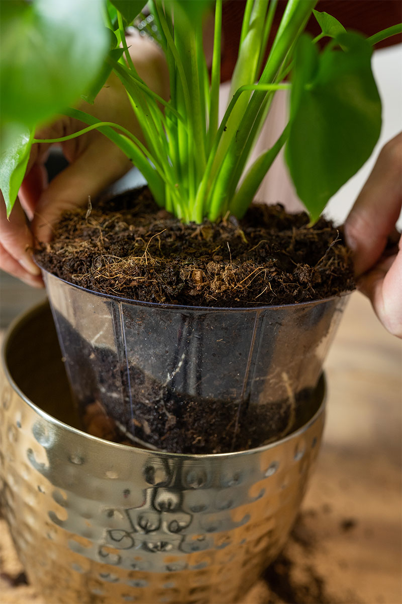 Mini Weicheinsatz - Ø10xH7cm