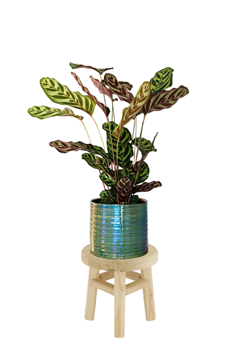 Pflanzenhocker Matter - Ø19xH20cm