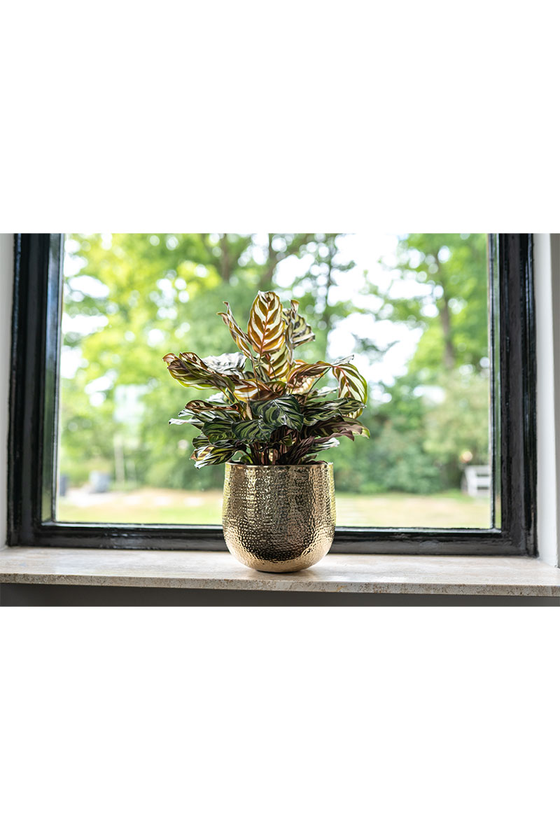 Kristy - Ø18xH17cm - Gold
