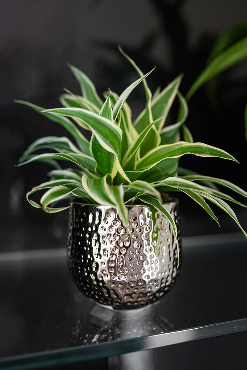 Kristy - Ø18xH17cm - Silber