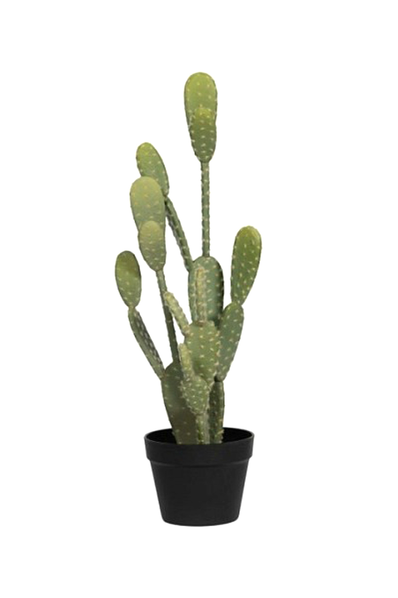 Kunstpflanze - Cactus Opuntia M - Pottery Pots