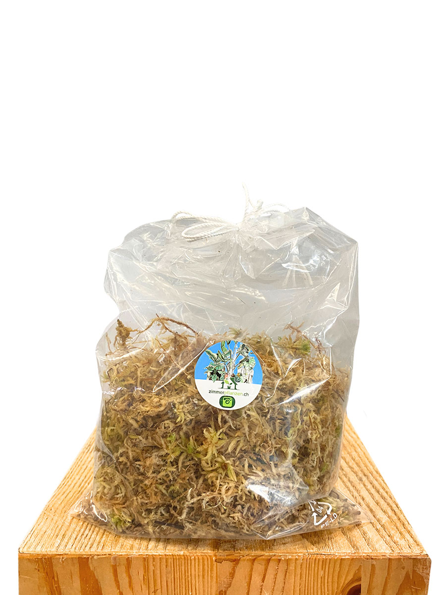 Sphagnum Moos 100g - Frisch