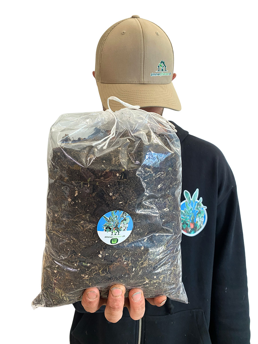 Profi- Aroid Erde 5L