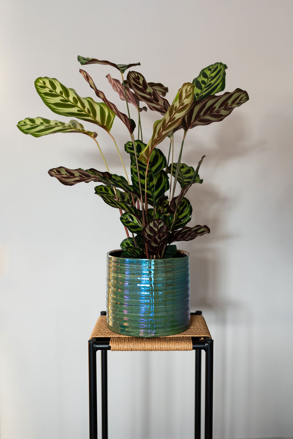 Didi - Ø14xH13cm - Pearl Green