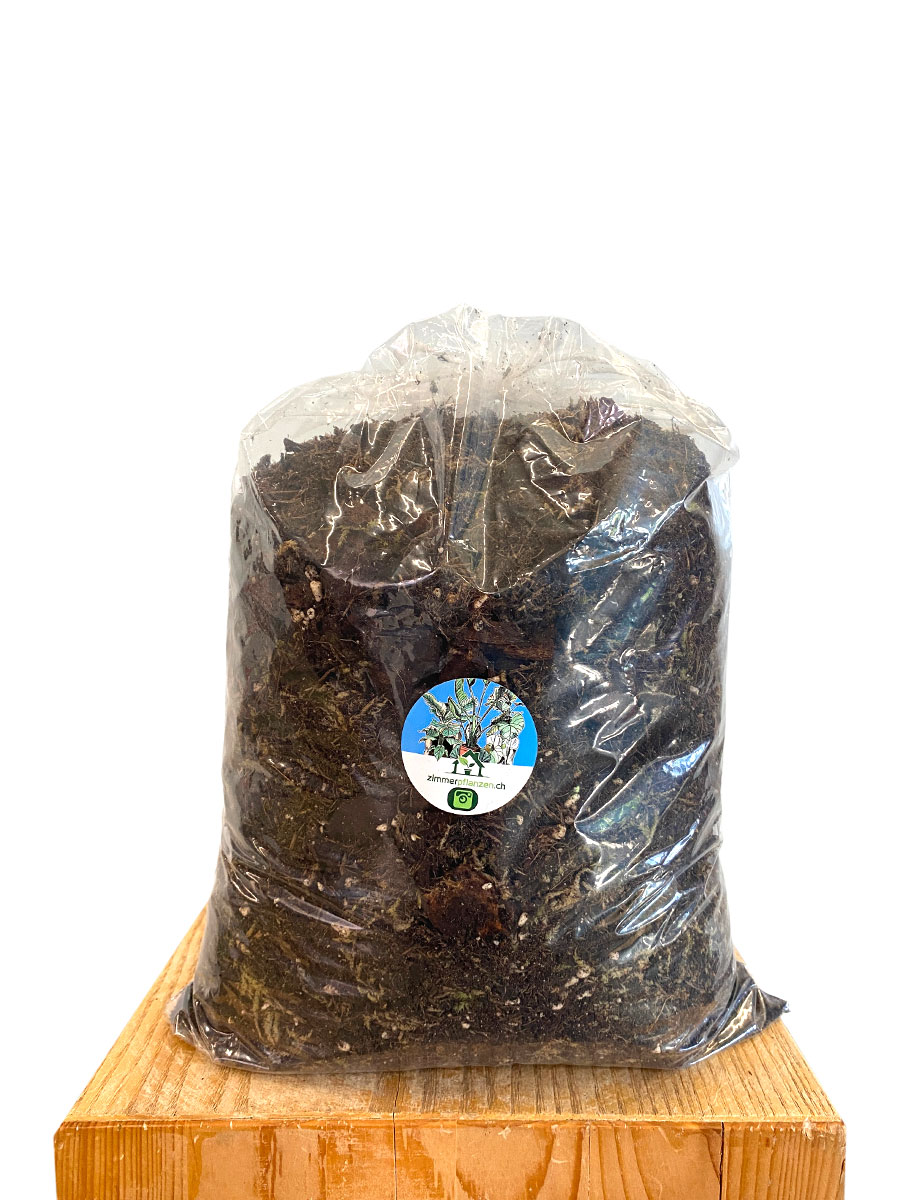 Profi- Aroid Erde 5L