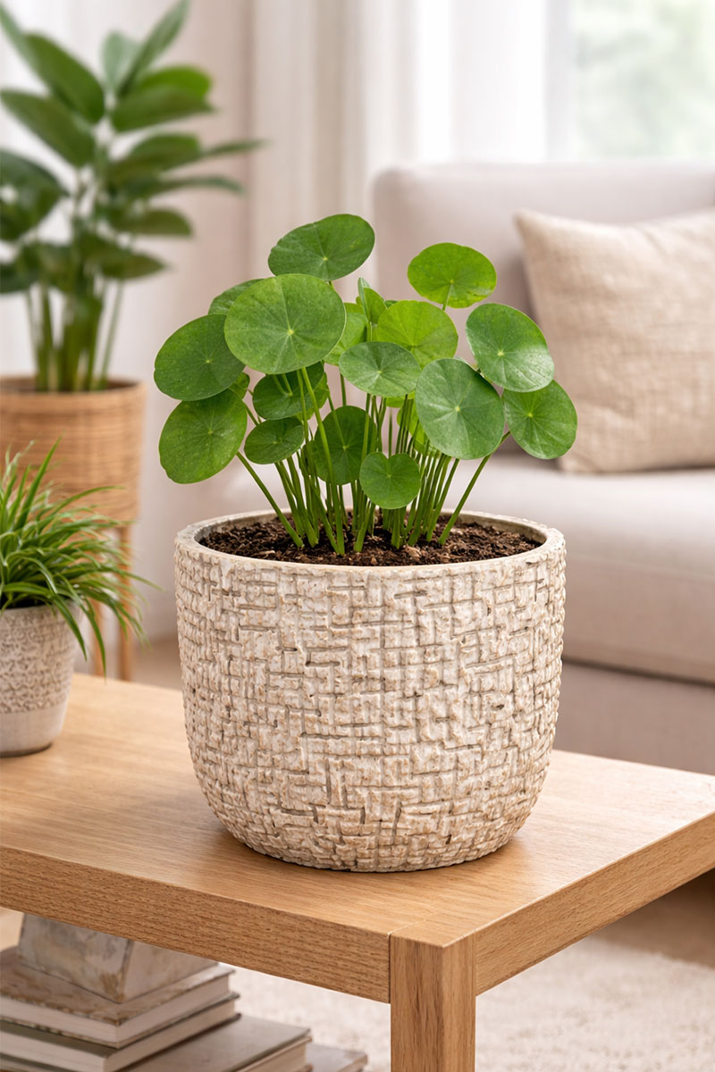 Maxim - Ø24xH22cm - Sand