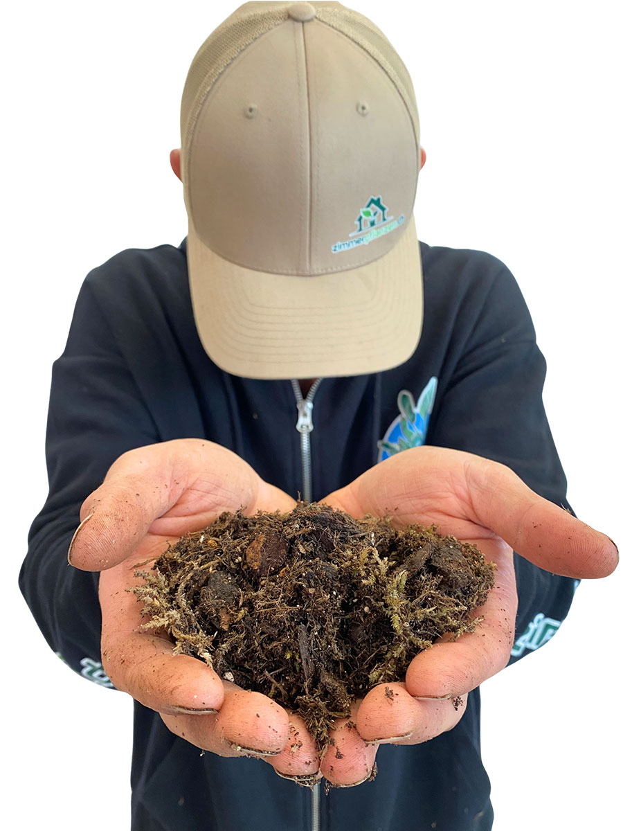 Profi- Aroid Erde 5L