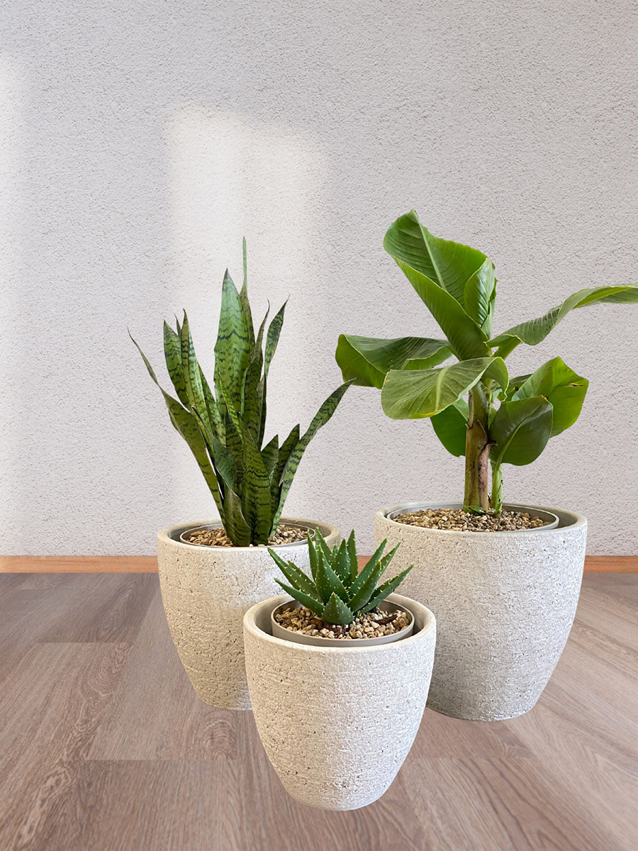Cas - Ø17xH15cm - Cool Grau