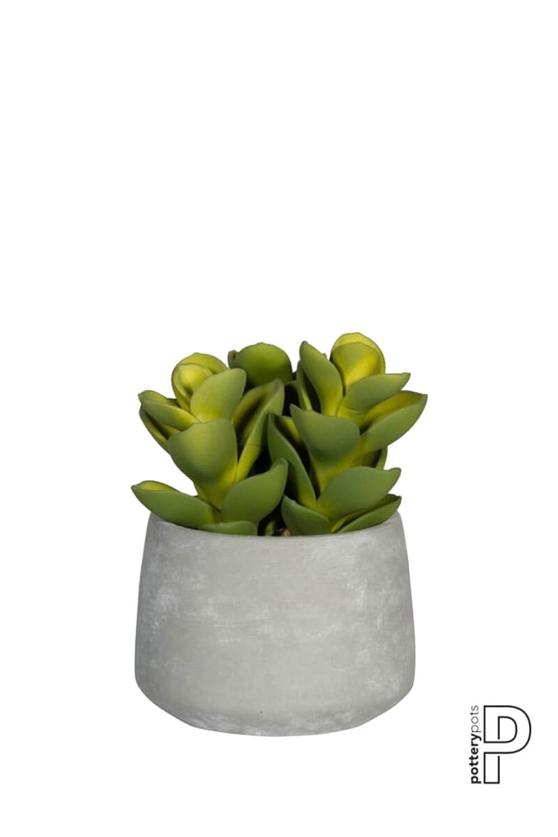Kunstpflanze - Succulent in cement - Pottery Pots