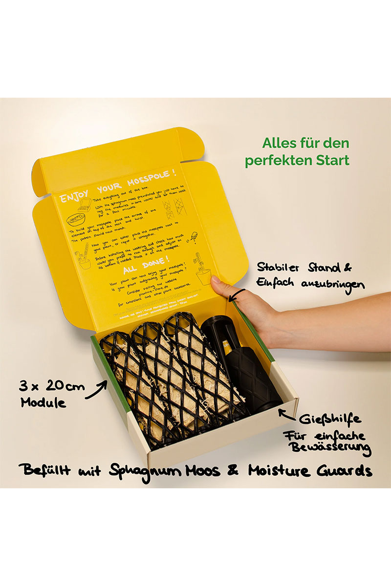 PlantMe Moosstab Midi Set - Schwarz