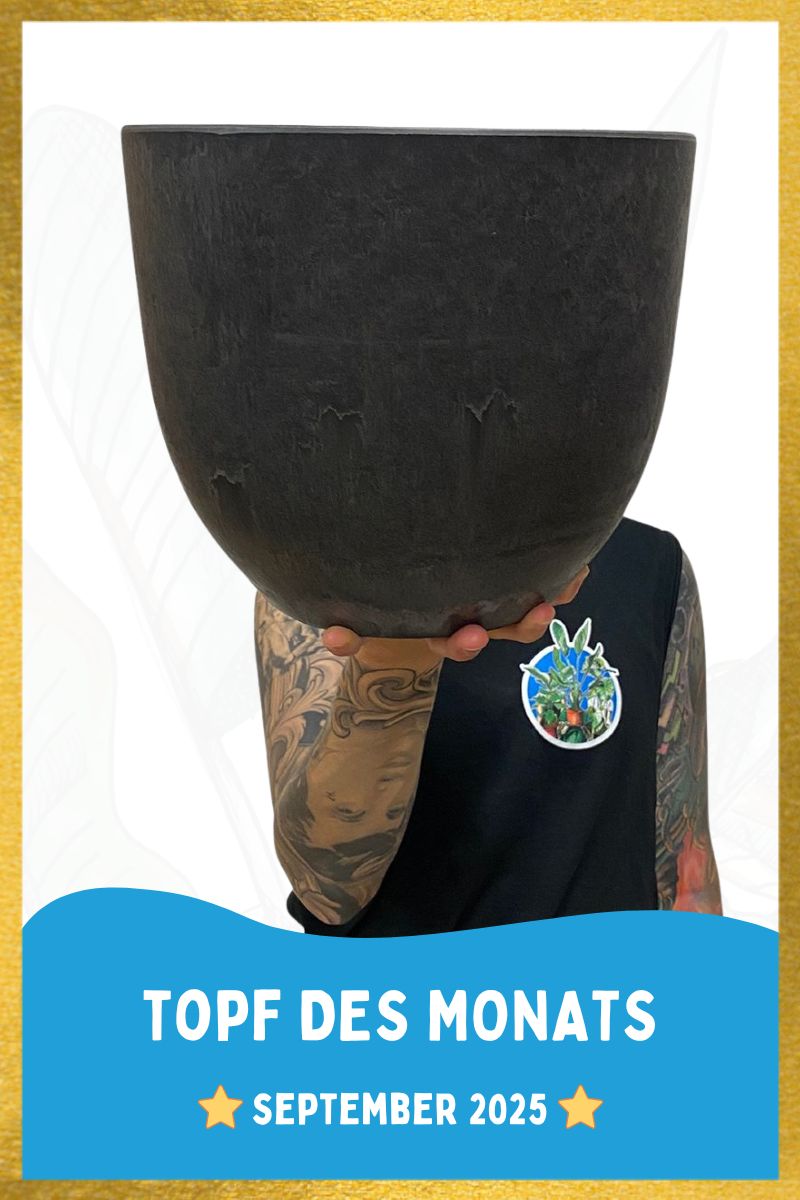 Bola Artstone - Ø23xH20cm - Schwarz
