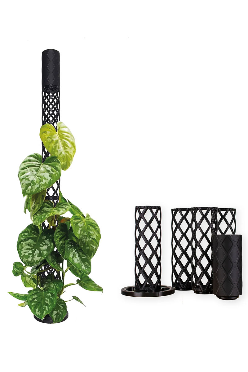PlantMe Moosstab Maxi Set - Schwarz