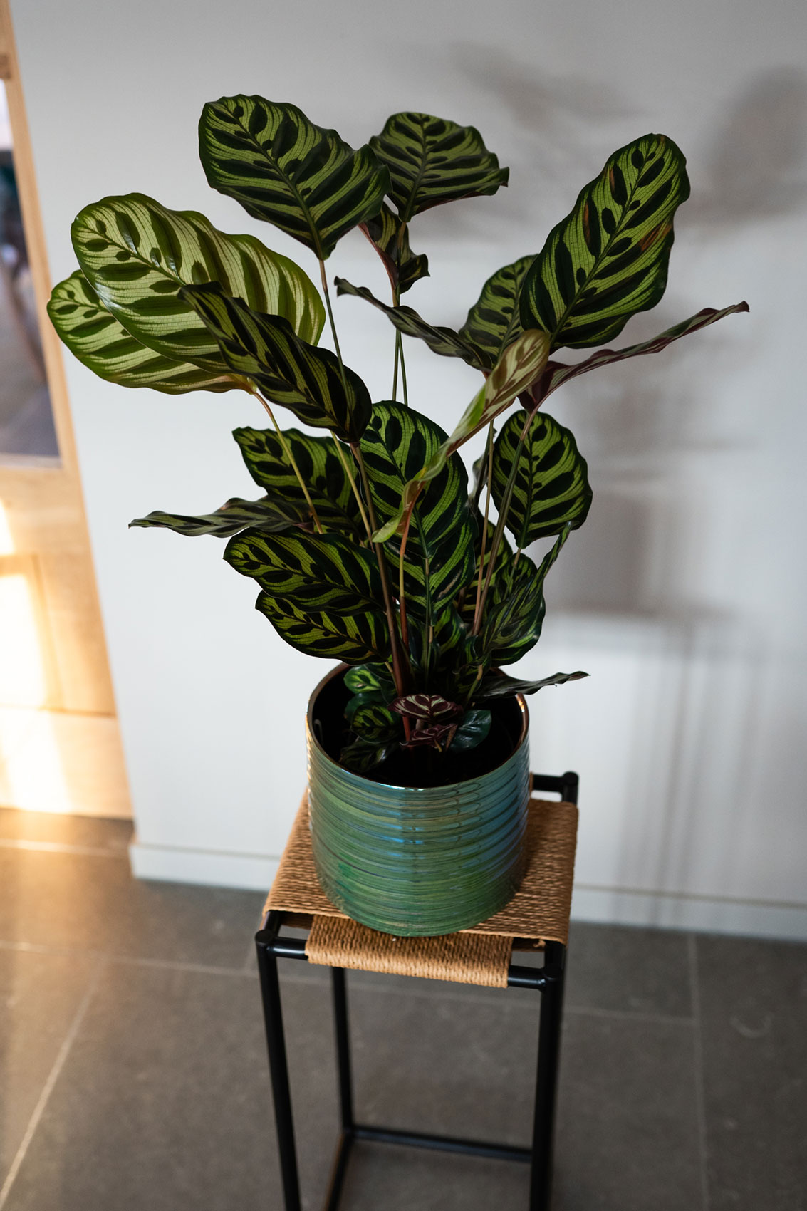 Didi - Ø14xH13cm - Pearl Green