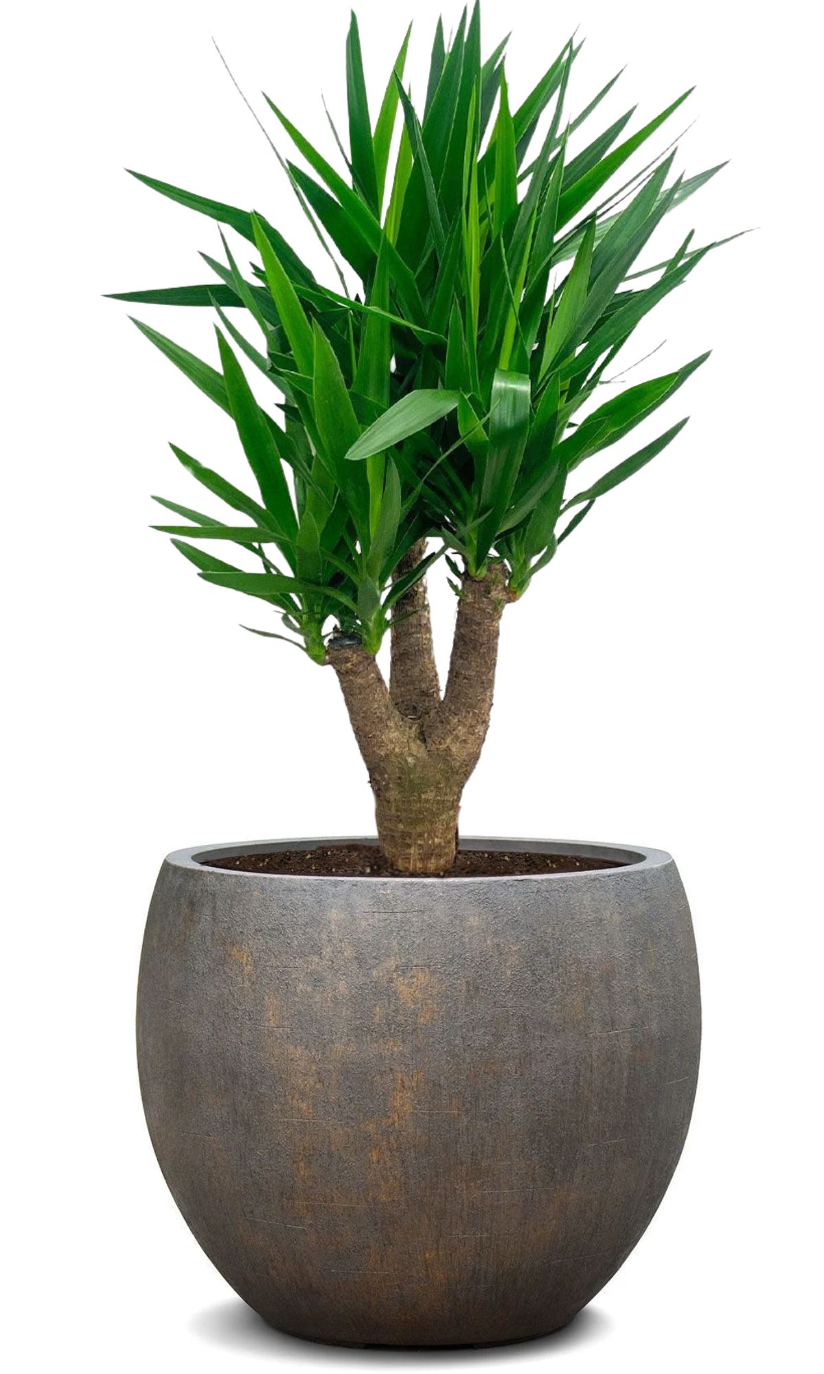 Bowl - Ø55xH46cm - Bronze