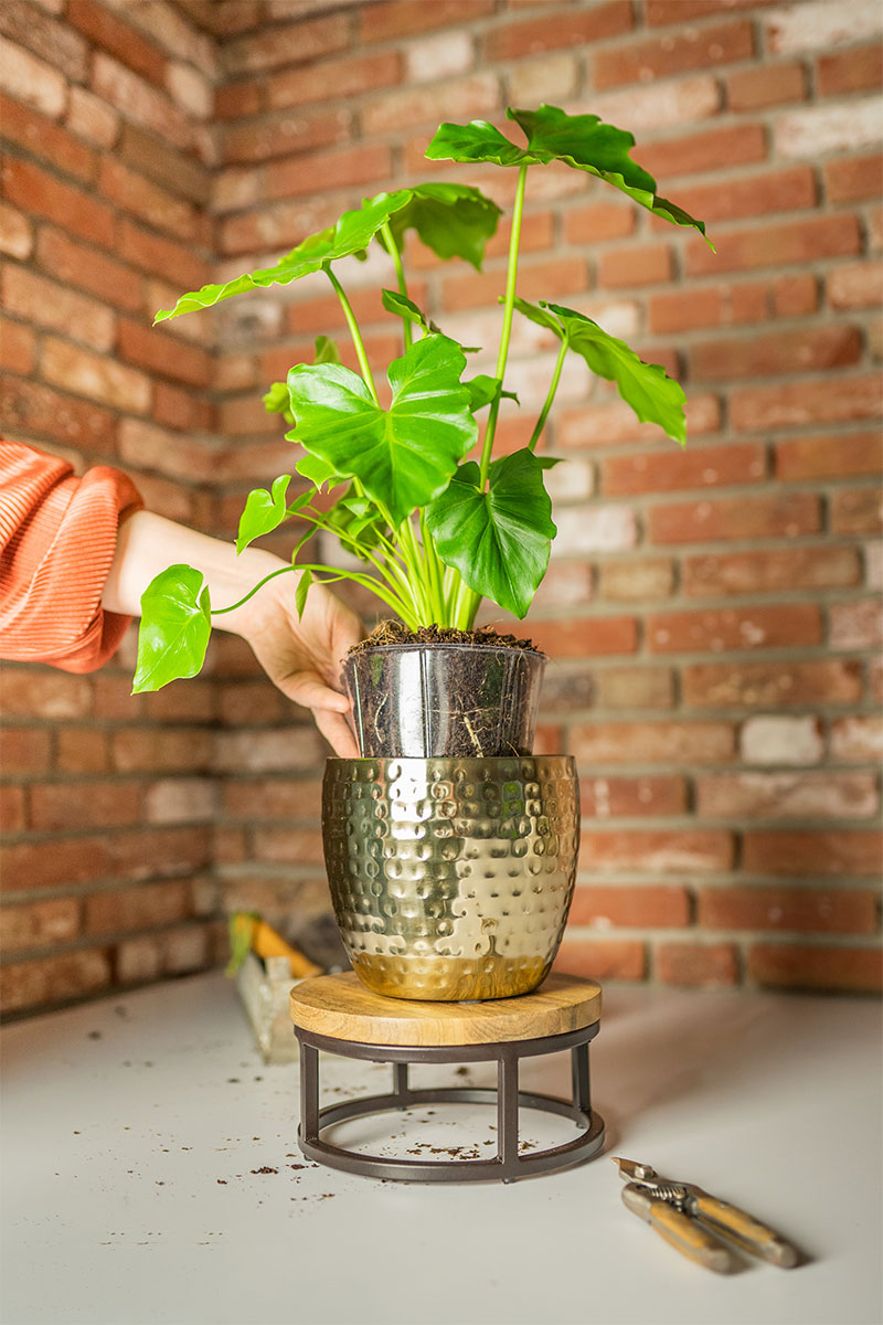 Mini Weicheinsatz - Ø10xH7cm