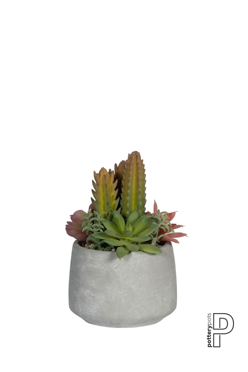 Kunstpflanze - Mixplants in cement - Pottery Pots