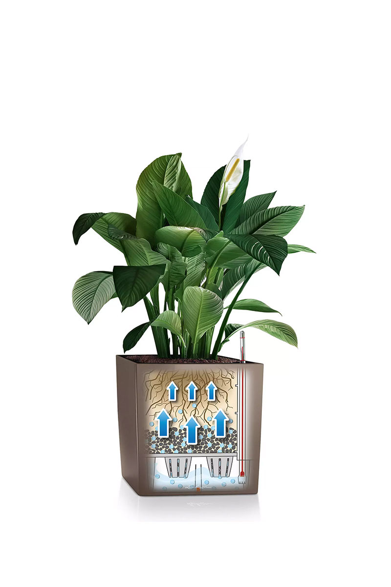 Lechuza Cube Premium 30 LS - Weiss