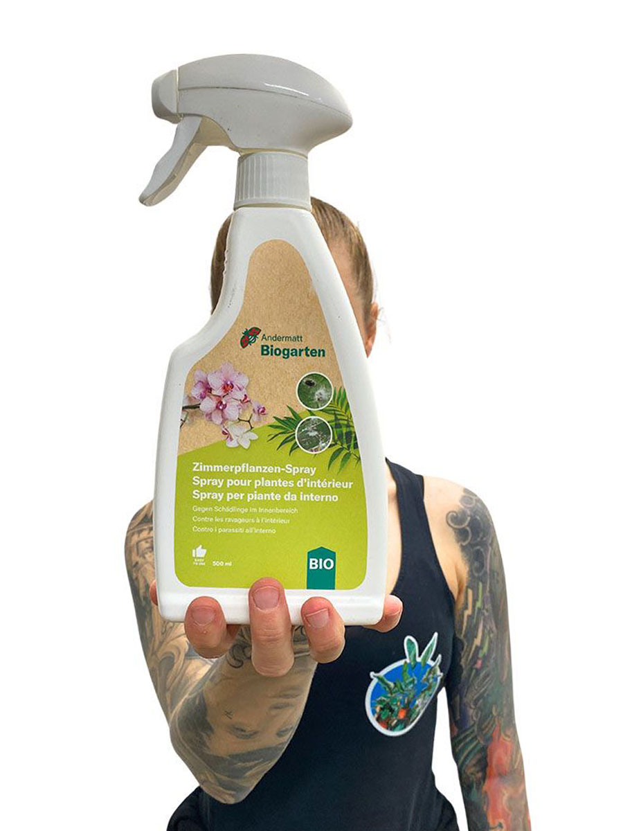 Zimmerpflanzen Spray 500ml - gegen Schädlinge