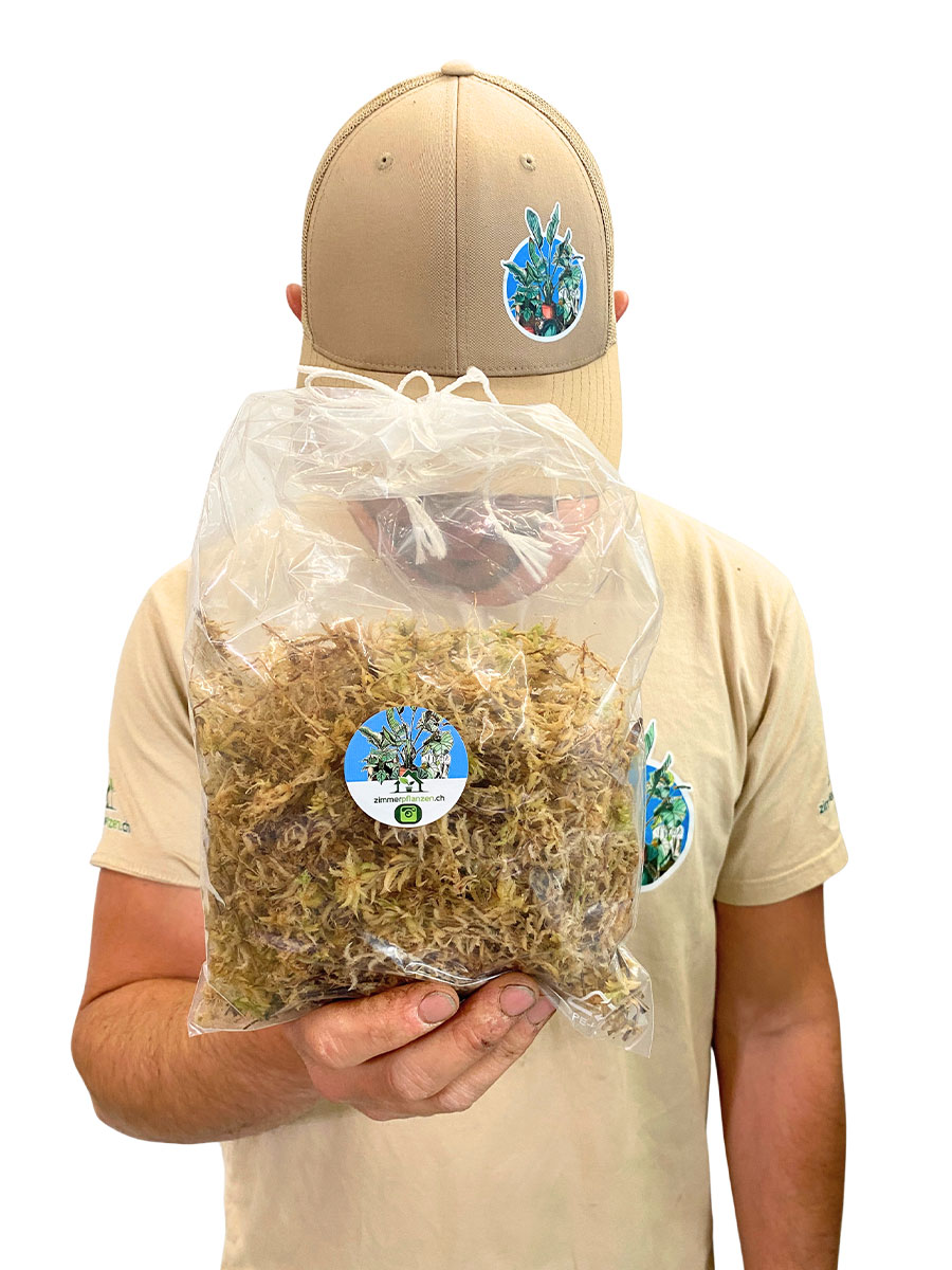Sphagnum Moos 100g - Frisch