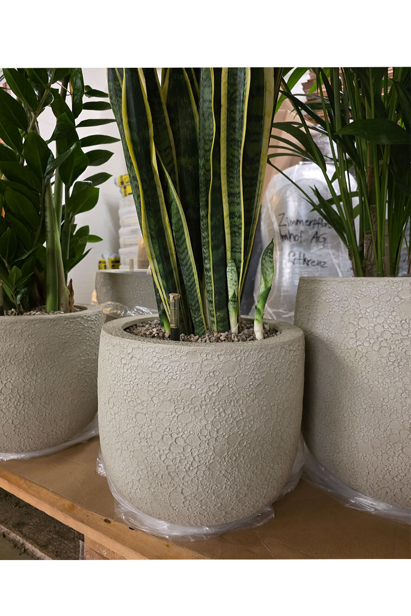 U Pot Lava - Ø45xH37cm - Antique Weiss