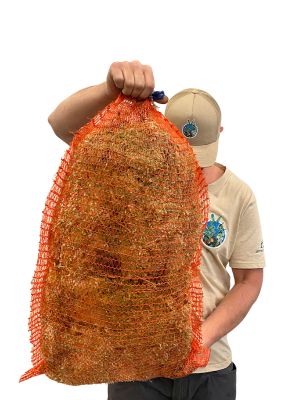 Sphagnum Moos 5000g - Frisch